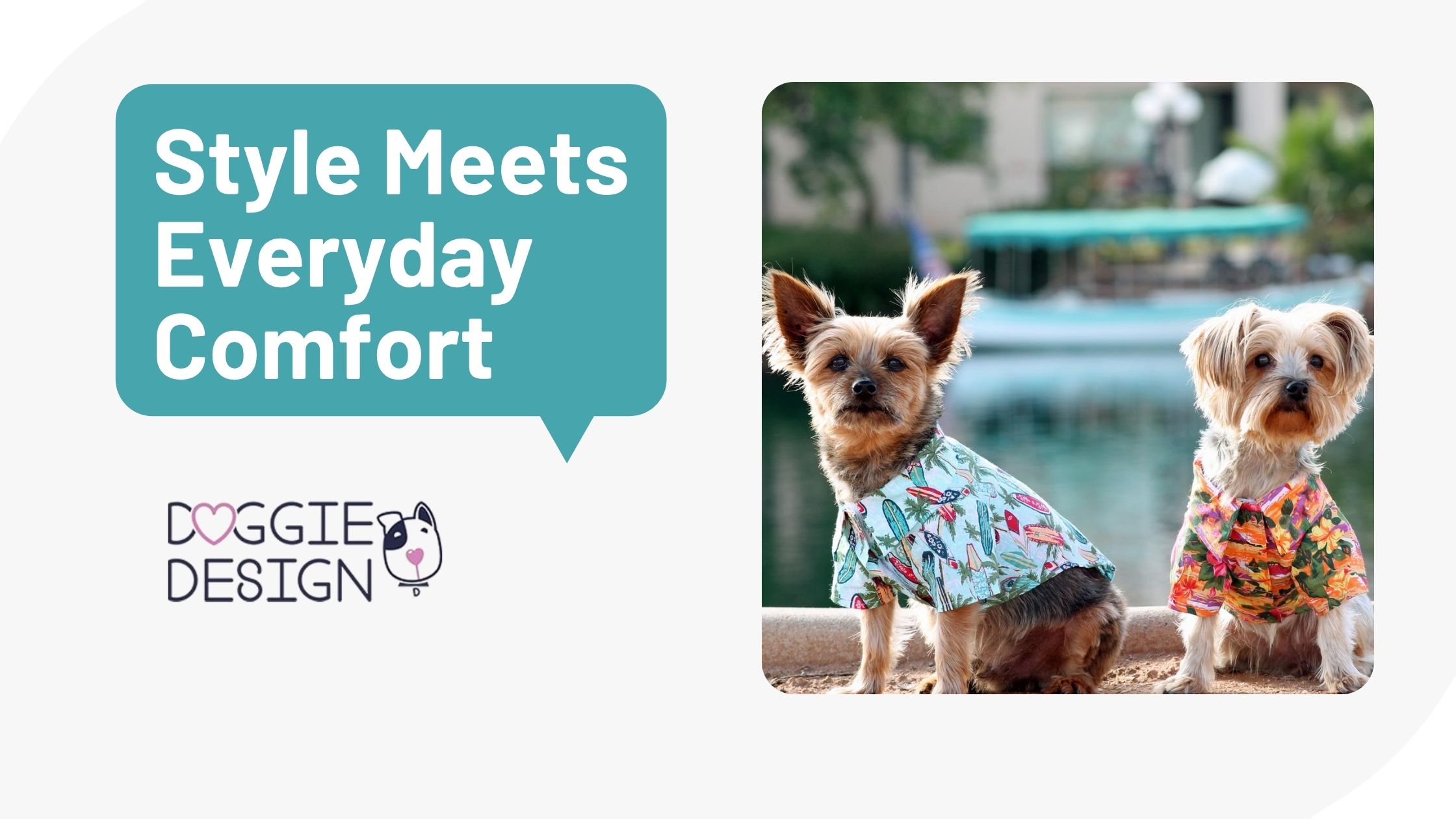 style-safety-sales-why-pet-apparel-and-harnesses-from-doggie-design